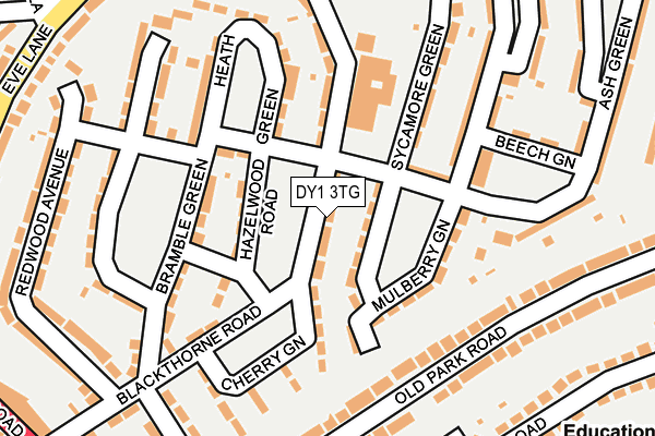 DY1 3TG map - OS OpenMap – Local (Ordnance Survey)