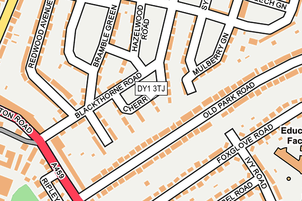 DY1 3TJ map - OS OpenMap – Local (Ordnance Survey)