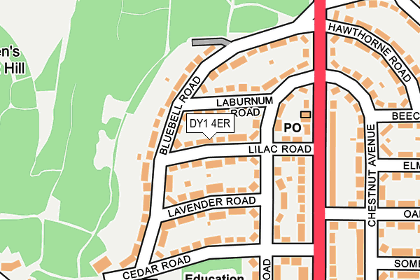 DY1 4ER map - OS OpenMap – Local (Ordnance Survey)