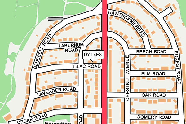 DY1 4ES map - OS OpenMap – Local (Ordnance Survey)