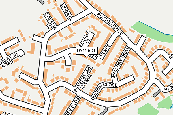 DY11 5DT map - OS OpenMap – Local (Ordnance Survey)