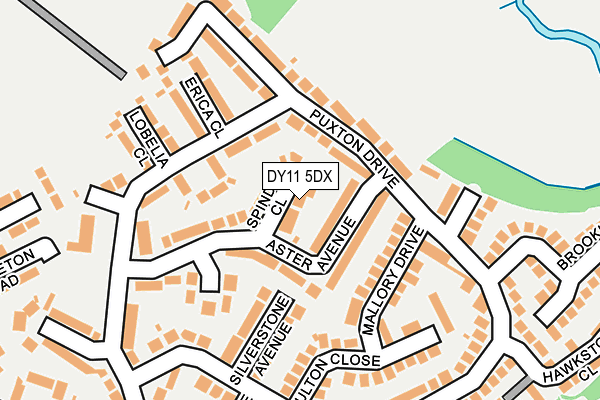 DY11 5DX map - OS OpenMap – Local (Ordnance Survey)