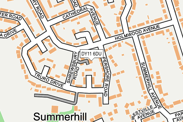 DY11 6DU map - OS OpenMap – Local (Ordnance Survey)