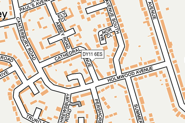 DY11 6ES map - OS OpenMap – Local (Ordnance Survey)