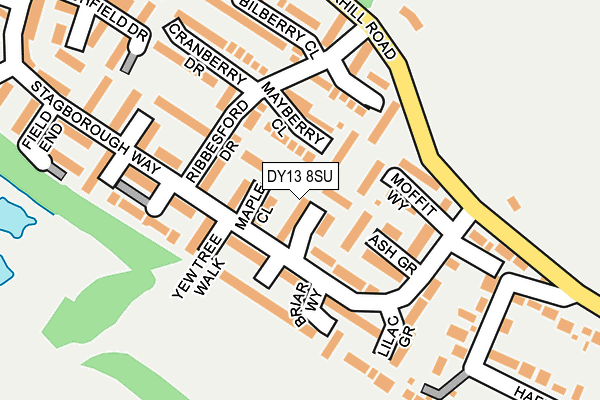 DY13 8SU map - OS OpenMap – Local (Ordnance Survey)