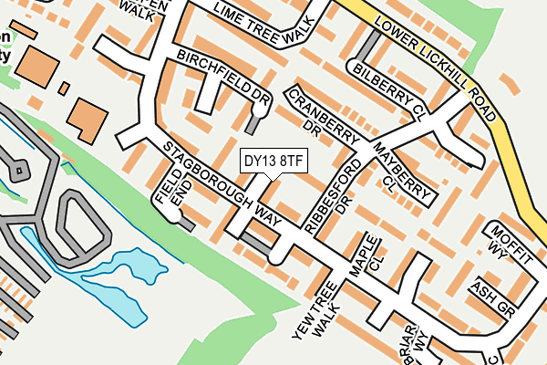 DY13 8TF map - OS OpenMap – Local (Ordnance Survey)