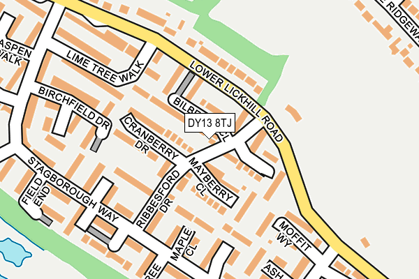 DY13 8TJ map - OS OpenMap – Local (Ordnance Survey)