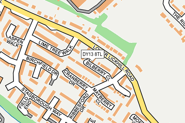 DY13 8TL map - OS OpenMap – Local (Ordnance Survey)