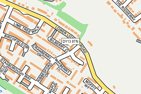 DY13 8TN map - OS OpenMap – Local (Ordnance Survey)