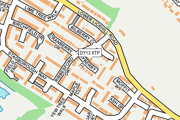 DY13 8TP map - OS OpenMap – Local (Ordnance Survey)