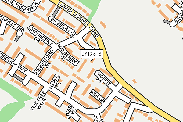 DY13 8TS map - OS OpenMap – Local (Ordnance Survey)