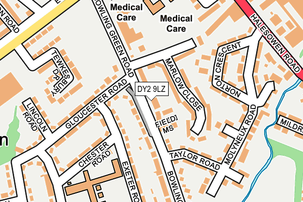 DY2 9LZ map - OS OpenMap – Local (Ordnance Survey)