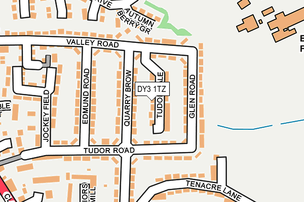 DY3 1TZ map - OS OpenMap – Local (Ordnance Survey)