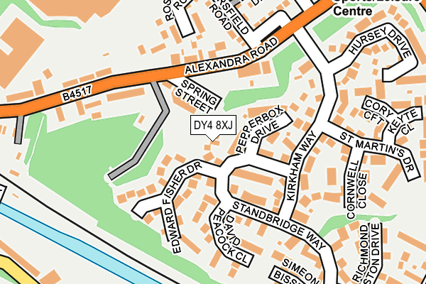 DY4 8XJ map - OS OpenMap – Local (Ordnance Survey)
