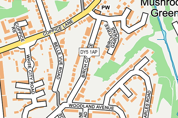 DY5 1AP map - OS OpenMap – Local (Ordnance Survey)