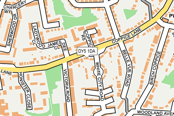 DY5 1DA map - OS OpenMap – Local (Ordnance Survey)