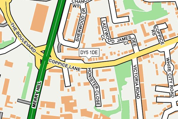 DY5 1DE map - OS OpenMap – Local (Ordnance Survey)