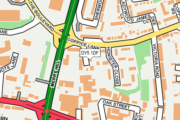 DY5 1DF map - OS OpenMap – Local (Ordnance Survey)