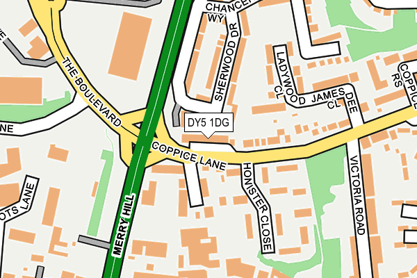 DY5 1DG map - OS OpenMap – Local (Ordnance Survey)