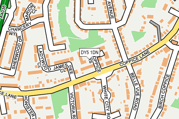 DY5 1DN map - OS OpenMap – Local (Ordnance Survey)