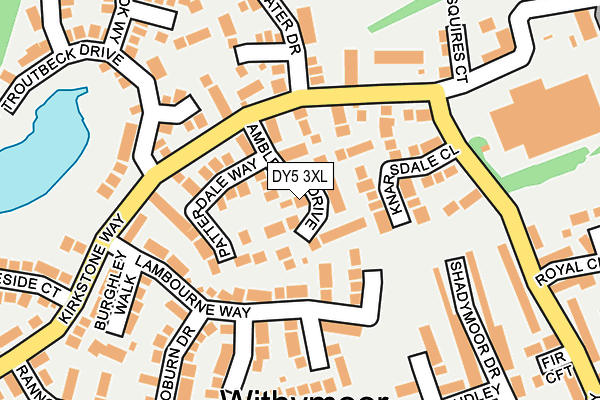 DY5 3XL map - OS OpenMap – Local (Ordnance Survey)