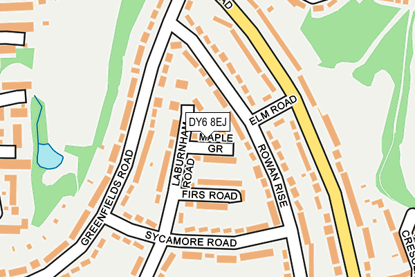 DY6 8EJ map - OS OpenMap – Local (Ordnance Survey)