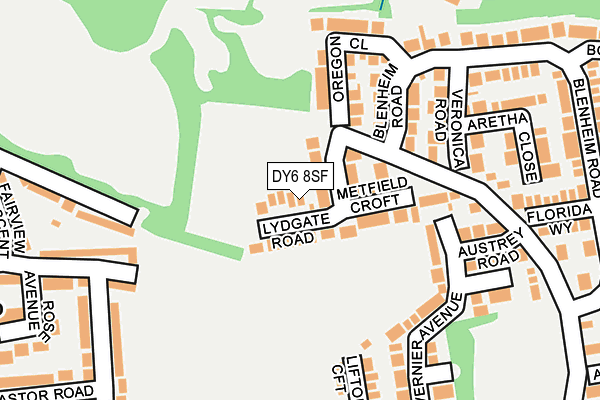 DY6 8SF map - OS OpenMap – Local (Ordnance Survey)