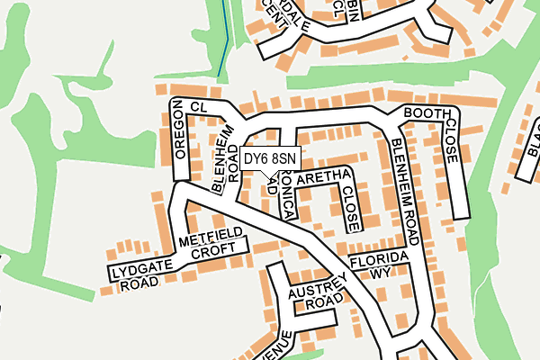 DY6 8SN map - OS OpenMap – Local (Ordnance Survey)