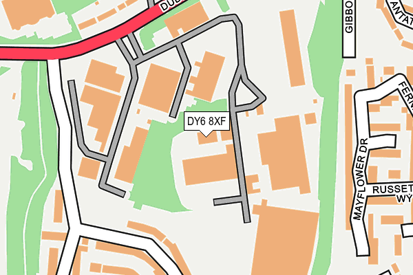 DY6 8XF map - OS OpenMap – Local (Ordnance Survey)