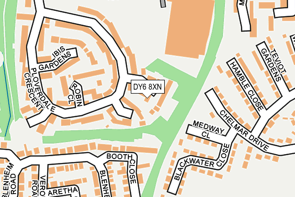 DY6 8XN map - OS OpenMap – Local (Ordnance Survey)