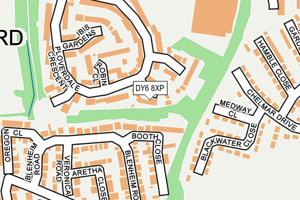 DY6 8XP map - OS OpenMap – Local (Ordnance Survey)