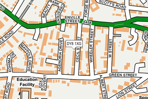 DY8 1XG map - OS OpenMap – Local (Ordnance Survey)