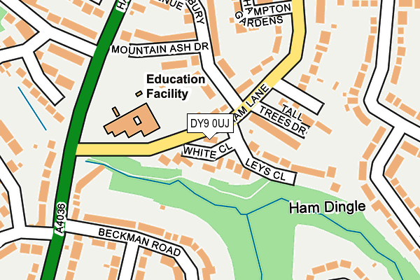 DY9 0UJ map - OS OpenMap – Local (Ordnance Survey)