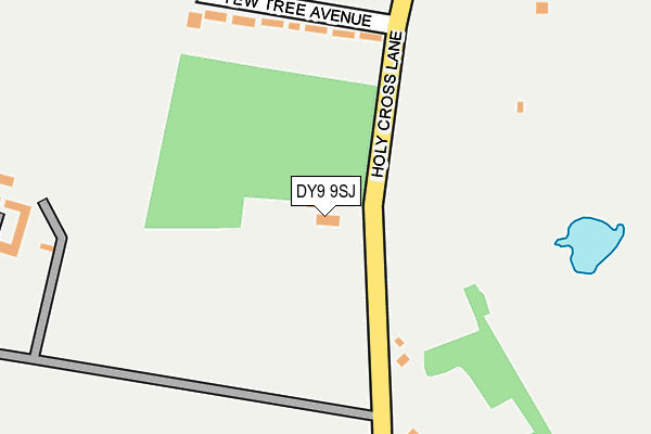 DY9 9SJ map - OS OpenMap – Local (Ordnance Survey)