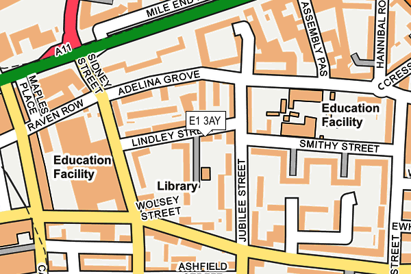 E1 3AY map - OS OpenMap – Local (Ordnance Survey)