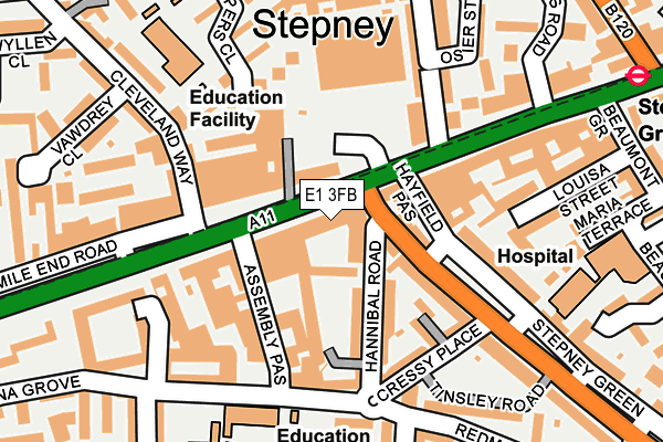 E1 3FB map - OS OpenMap – Local (Ordnance Survey)