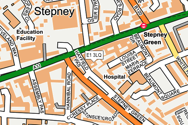 E1 3LQ map - OS OpenMap – Local (Ordnance Survey)