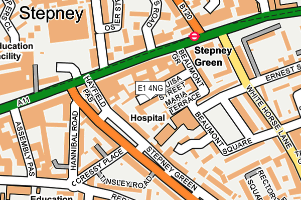 E1 4NG map - OS OpenMap – Local (Ordnance Survey)