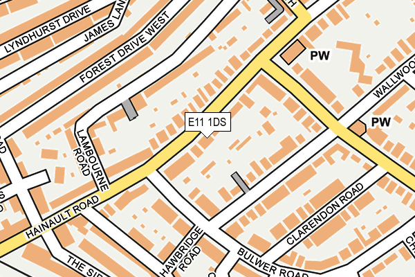 E11 1DS map - OS OpenMap – Local (Ordnance Survey)