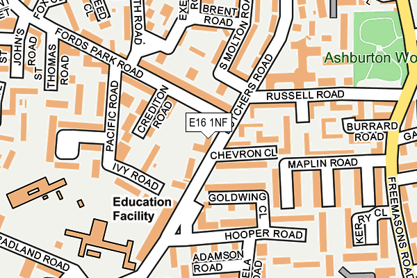 E16 1NF map - OS OpenMap – Local (Ordnance Survey)