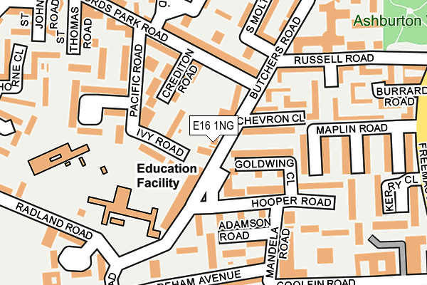 E16 1NG map - OS OpenMap – Local (Ordnance Survey)
