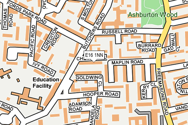 E16 1NN map - OS OpenMap – Local (Ordnance Survey)