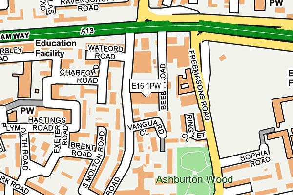 E16 1PW map - OS OpenMap – Local (Ordnance Survey)