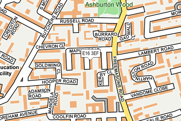 E16 3EF map - OS OpenMap – Local (Ordnance Survey)