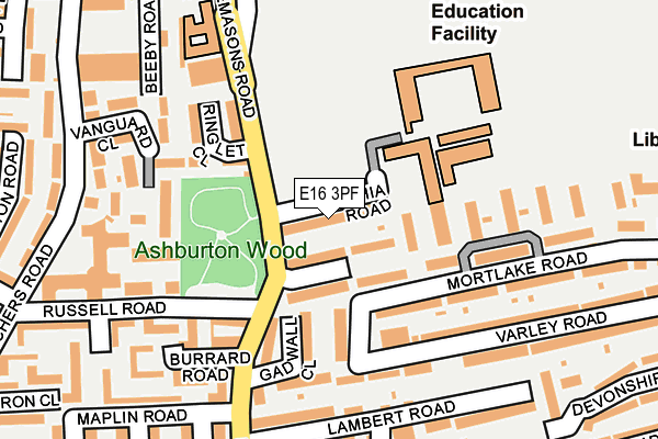 E16 3PF map - OS OpenMap – Local (Ordnance Survey)