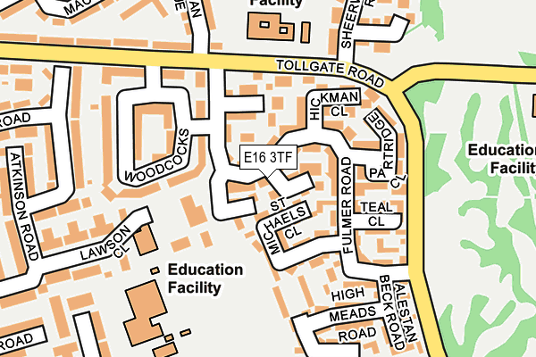 E16 3TF map - OS OpenMap – Local (Ordnance Survey)