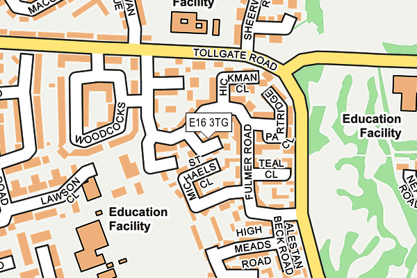 E16 3TG map - OS OpenMap – Local (Ordnance Survey)