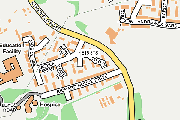 E16 3TS map - OS OpenMap – Local (Ordnance Survey)