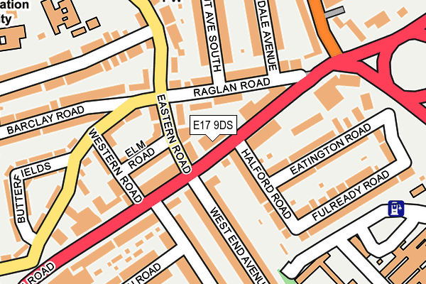 E17 9DS map - OS OpenMap – Local (Ordnance Survey)