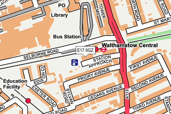 E17 9GZ map - OS OpenMap – Local (Ordnance Survey)